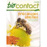 n°255 - Précieuses abeilles