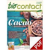 n°318 - Cacao